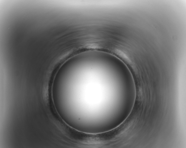 X0000089440535200706221231