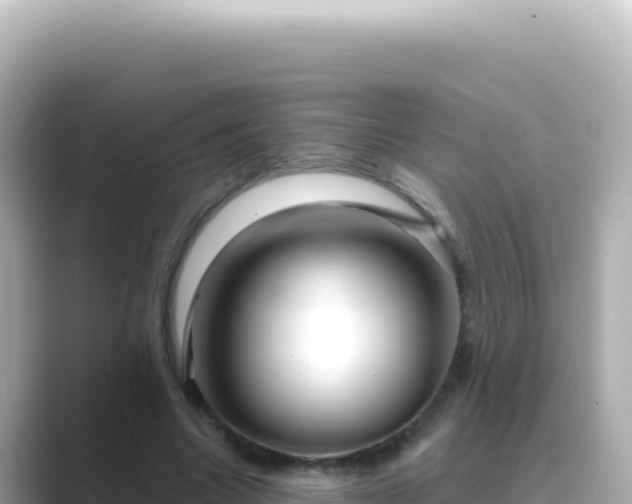 X0000089440538200706221231