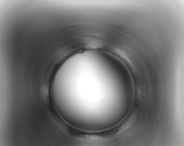 X0000089440539200706221231