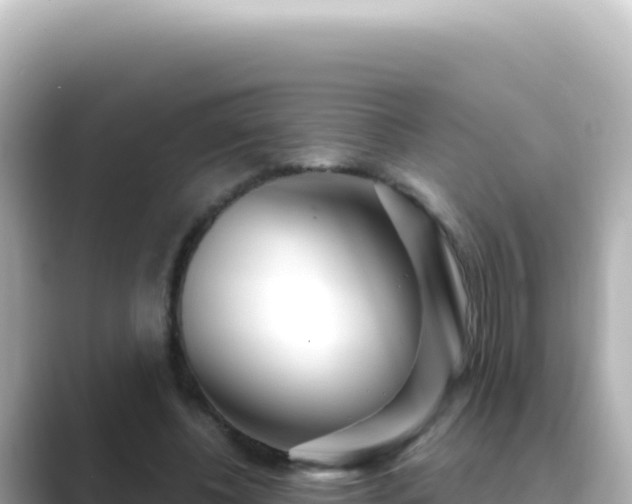 X0000089440540200706221231