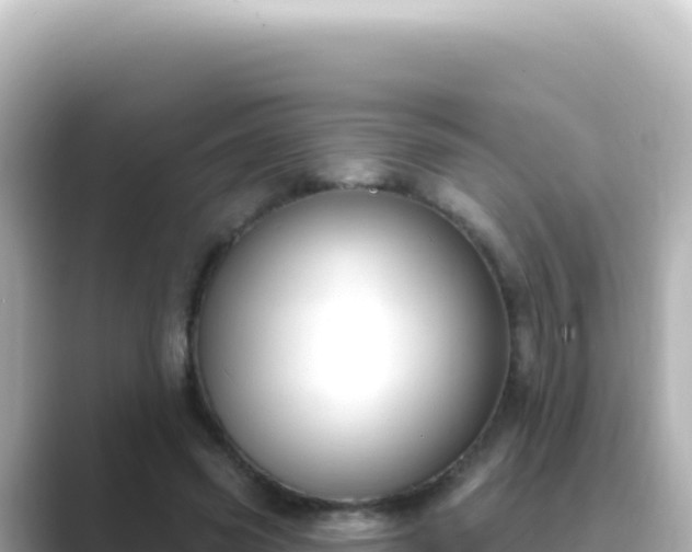 X0000089440541200706221231