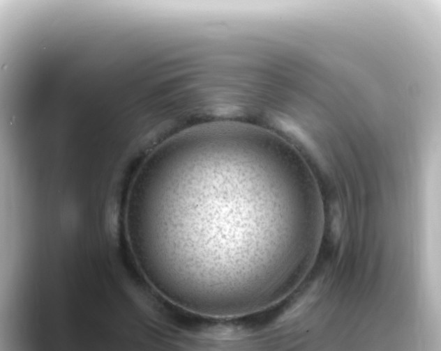 X0000089440542200706221231