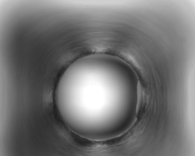X0000089440543200706221231