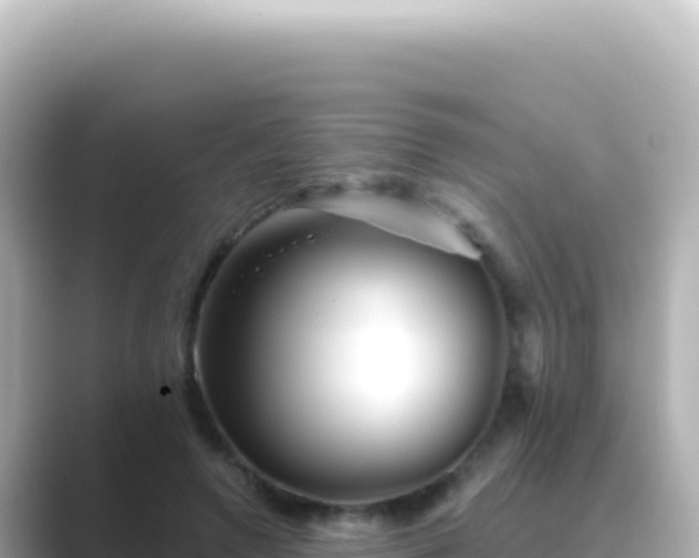 X0000089440546200706221231
