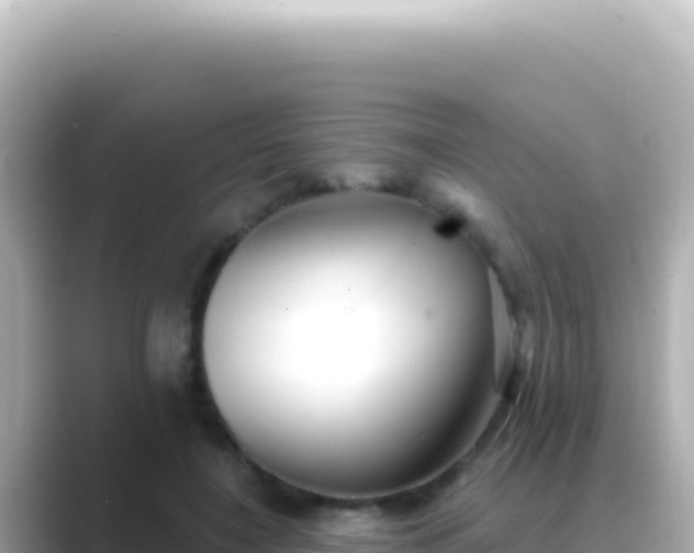X0000089440548200706221231