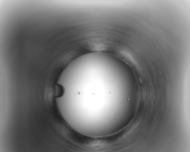 X0000089440549200706221231
