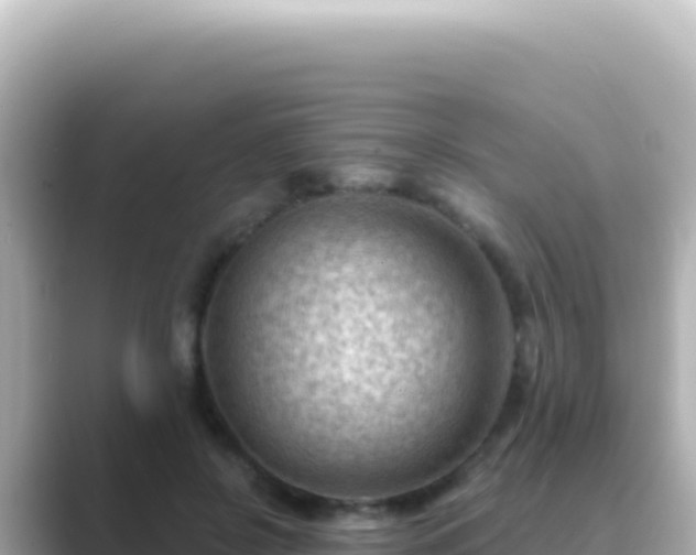 X0000089440550200706221231