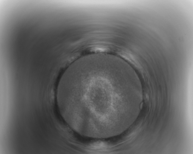 X0000089440551200706221231