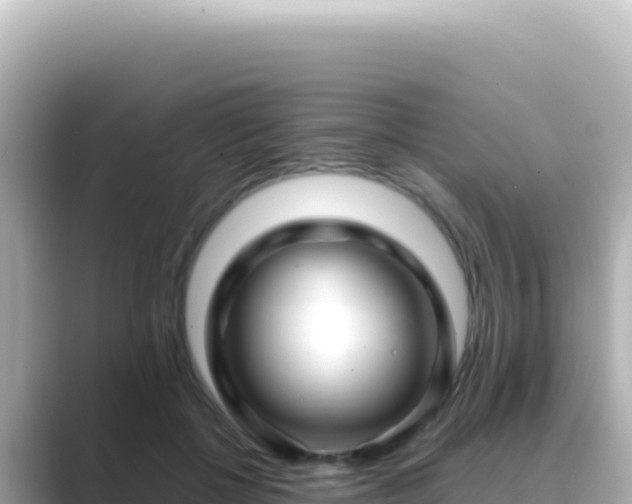 X0000089440552200706221231