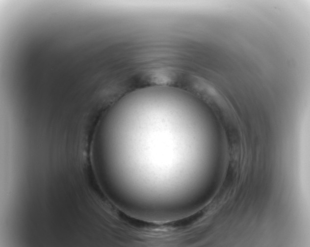 X0000089440553200706221231