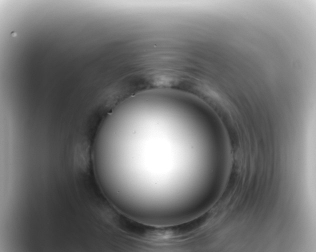 X0000089440554200706221231