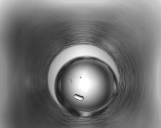 X0000089440556200706221231