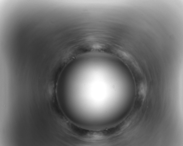 X0000089440559200706221231
