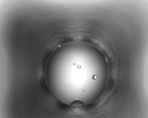 X0000089440561200706221231