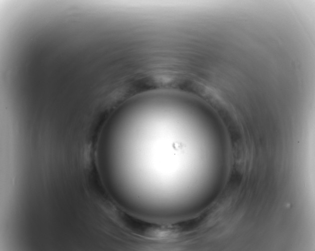X0000089440563200706221231