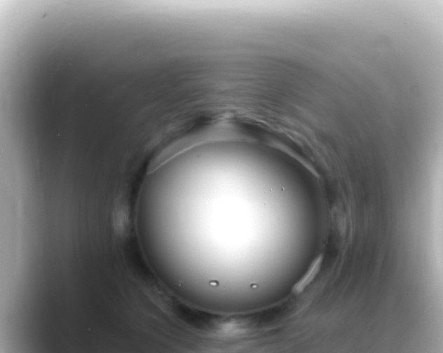X0000089440564200706221231