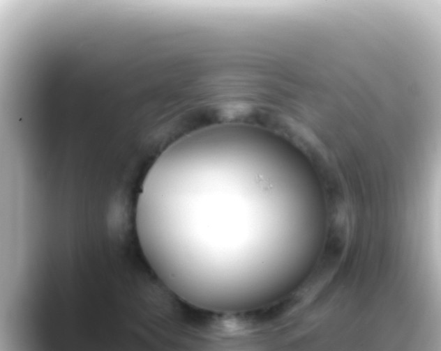 X0000089440565200706221231