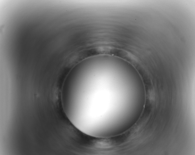 X0000089440567200706221231