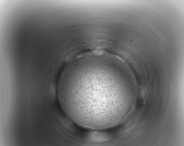 X0000089440568200706221231