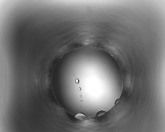 X0000089440569200706221231