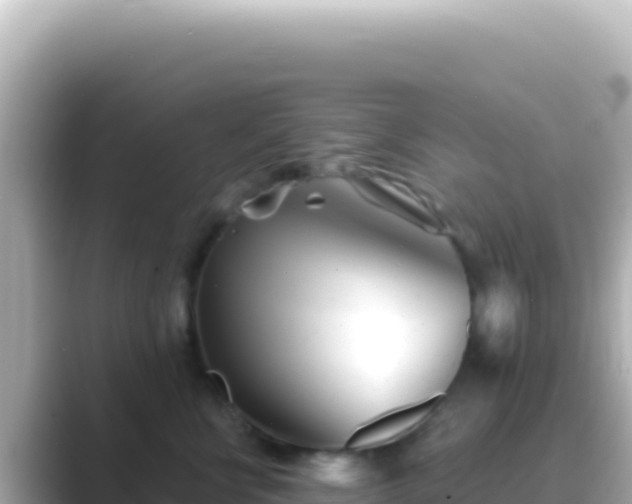 X0000089440570200706221231