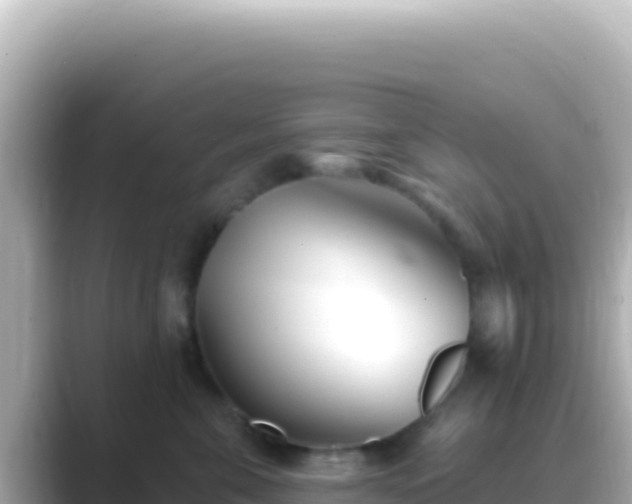 X0000089440571200706221231