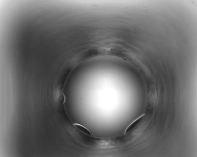 X0000089440574200706221231