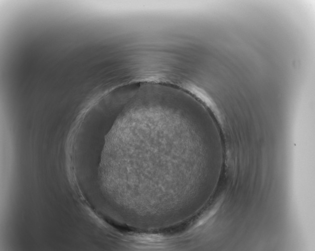 X0000089440577200706221231