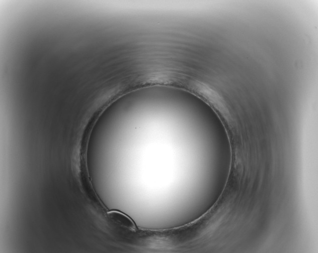 X0000089440578200706221231
