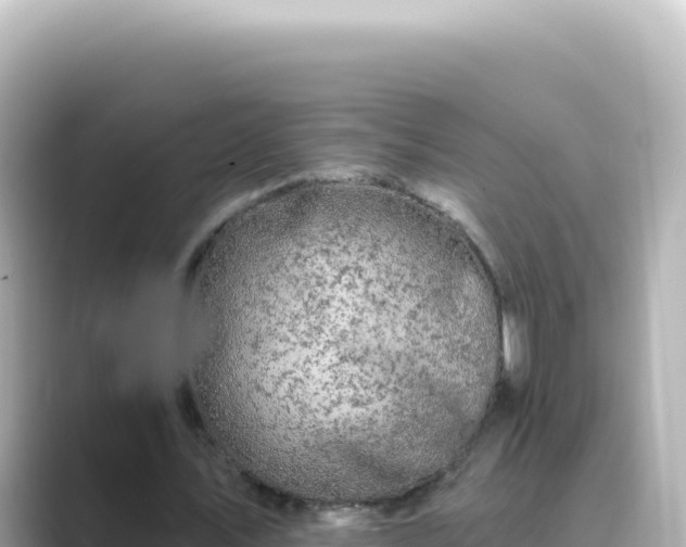X0000089440579200706221231