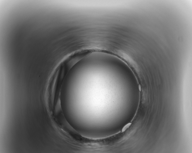 X0000089440580200706221231