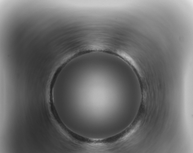 X0000089440581200706221231