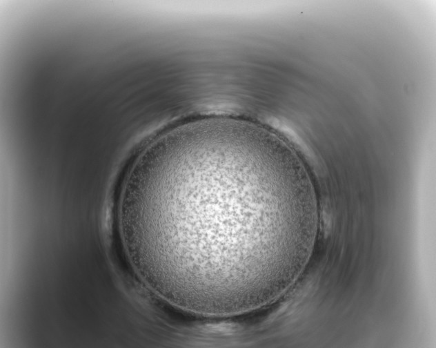 X0000089440583200706221231