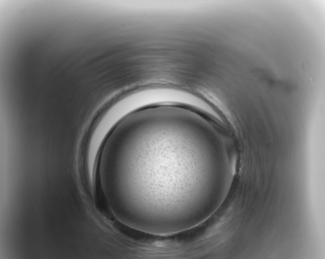 X0000089440584200706221231