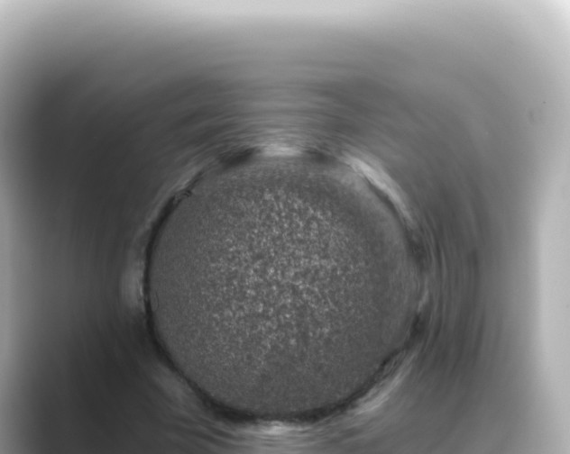 X0000089440585200706221231