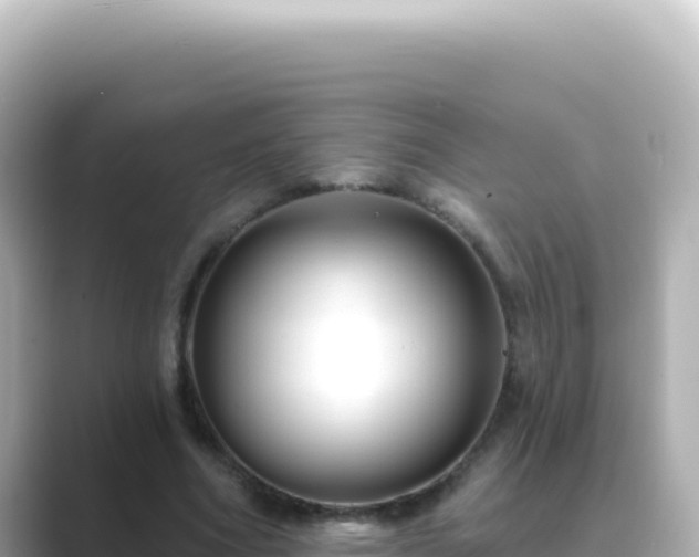 X0000089440586200706221231