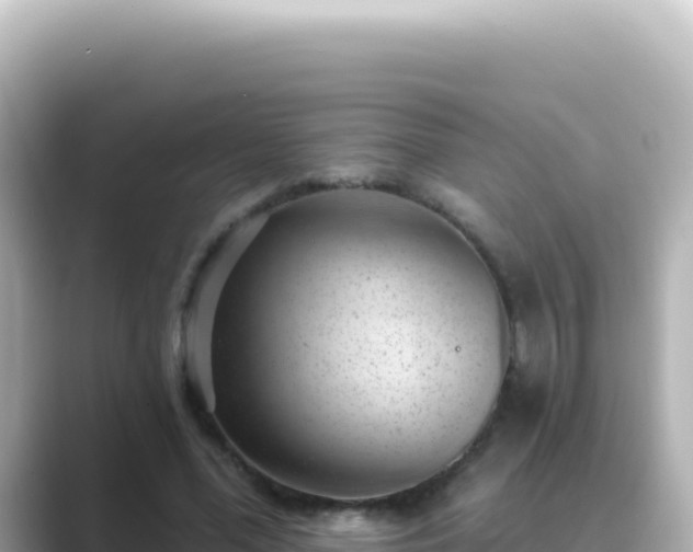 X0000089440588200706221231