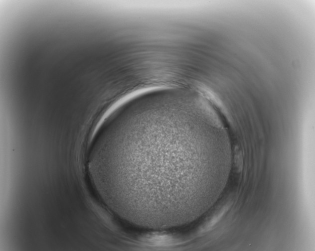 X0000089440589200706221231