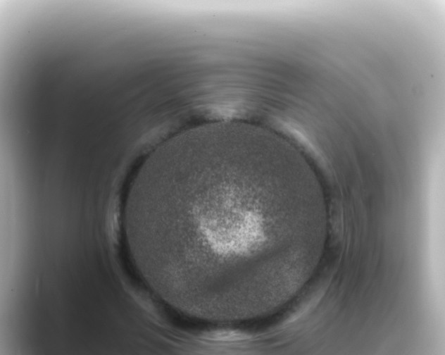X0000089440590200706221230