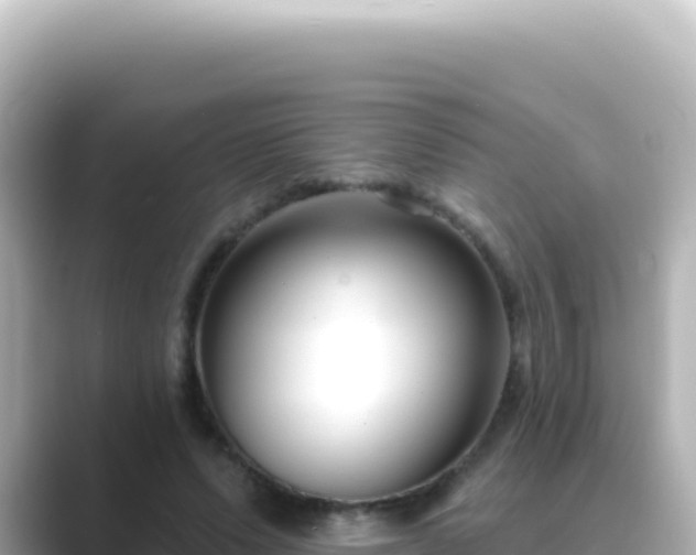 X0000089440591200706221230