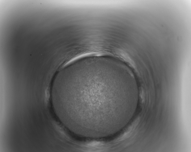 X0000089440593200706221230