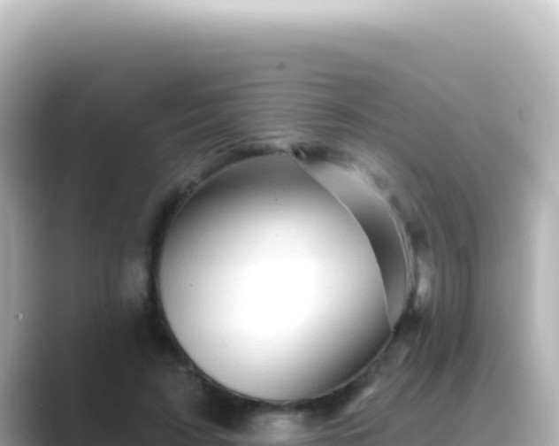 X0000089440595200706221230