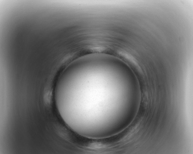 X0000089440596200706221230