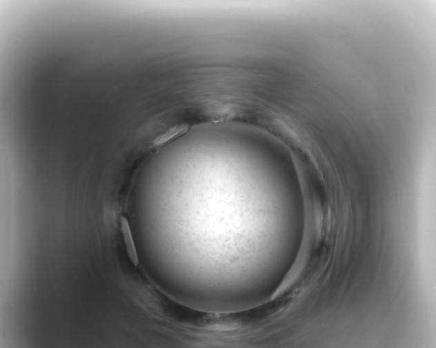 X0000089440601200706221230