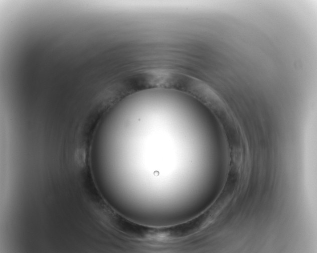 X0000089440602200706221230