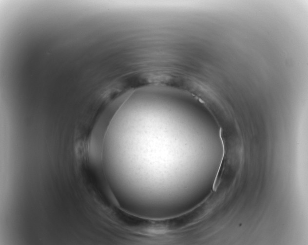 X0000089440604200706221230