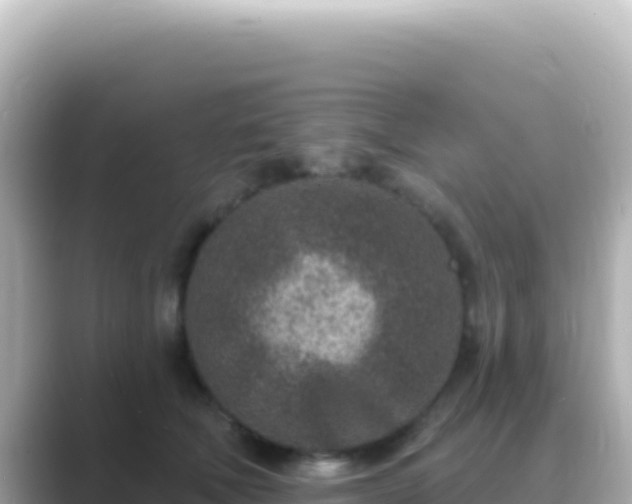 X0000089440610200706221230
