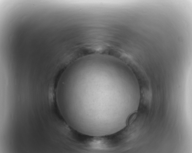 X0000089440612200706221230