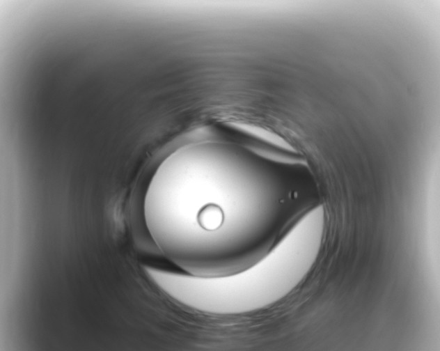 X0000089440613200706221230