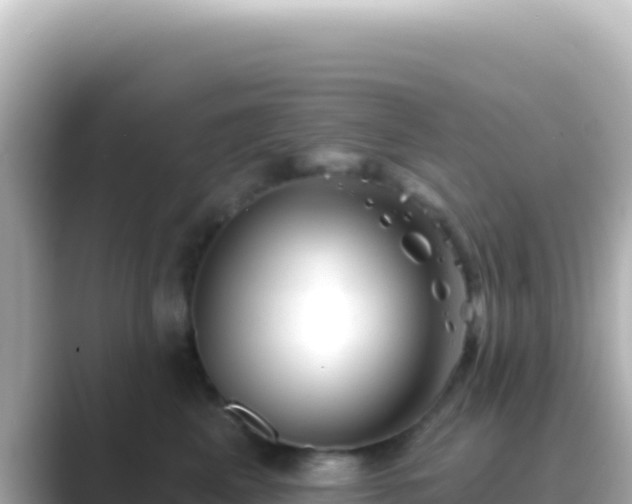X0000089440617200706221230